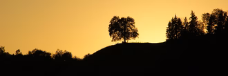 csm_Stimmungsfoto_ad7233070b