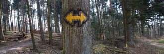 wegweiser-im-wald